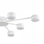 Потолочная люстра Lumion Comfi 8343/8C