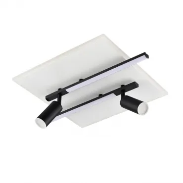 Светильник потолочный Lumion Ledio 8256/40CL