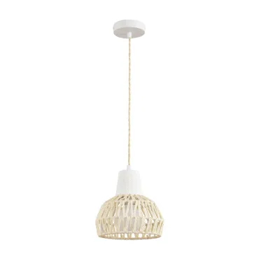 Подвесной светильник Lumion Eco 8368/1B