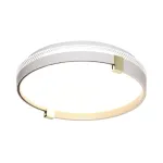 Настенно-потолочный светильник Сонекс Olidi White 7646/CLN