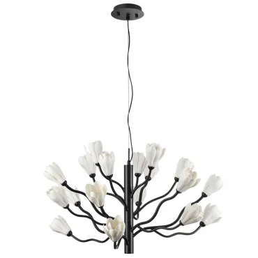 Подвесная люстра Odeon Light Modern 5090/18