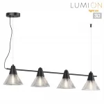 Подвесной светильник Lumion Moderni 6595/4A