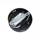 Подвесная люстра Lumion Ledio 8342/35L