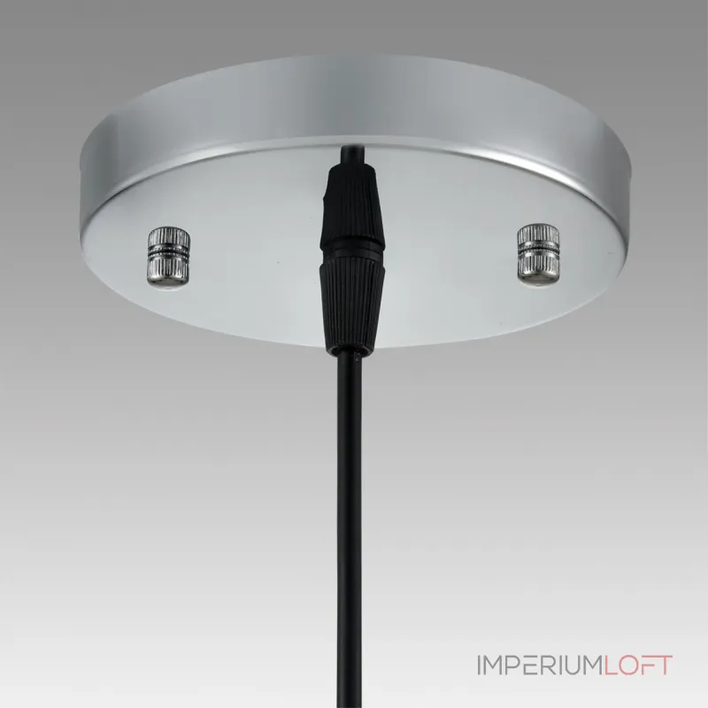 Подвесной светильник Lumion Suspentioni 8049/1A