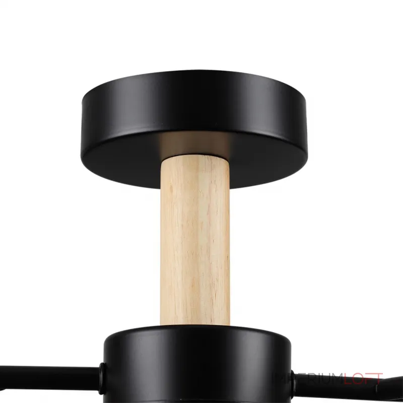 Потолочный светильник Lumion Comfi 6545/105CL