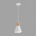 Подвесной светильник Lumion Suspentioni 8352/1B