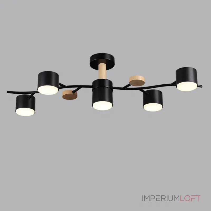 Потолочный светильник Lumion Comfi 6545/105CL