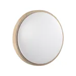 Потолочный светильник Sonex Losta 7607/AL