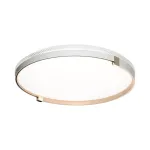 Настенно-потолочный светильник Сонекс Olidi white 7646/DLN