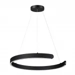 Подвесная люстра Lumion Ledio 6534/43L