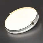 Настенно-потолочный светильник Сонекс Olidi white 7646/DLN