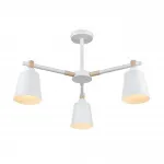 Люстра потолочная Lumion Moderni 5096/17L от ImperiumLoft