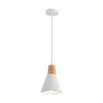 Подвесной светильник Lumion Suspentioni 8352/1B