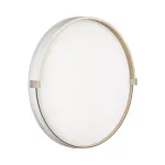 Настенно-потолочный светильник Сонекс Olidi white 7646/DLN