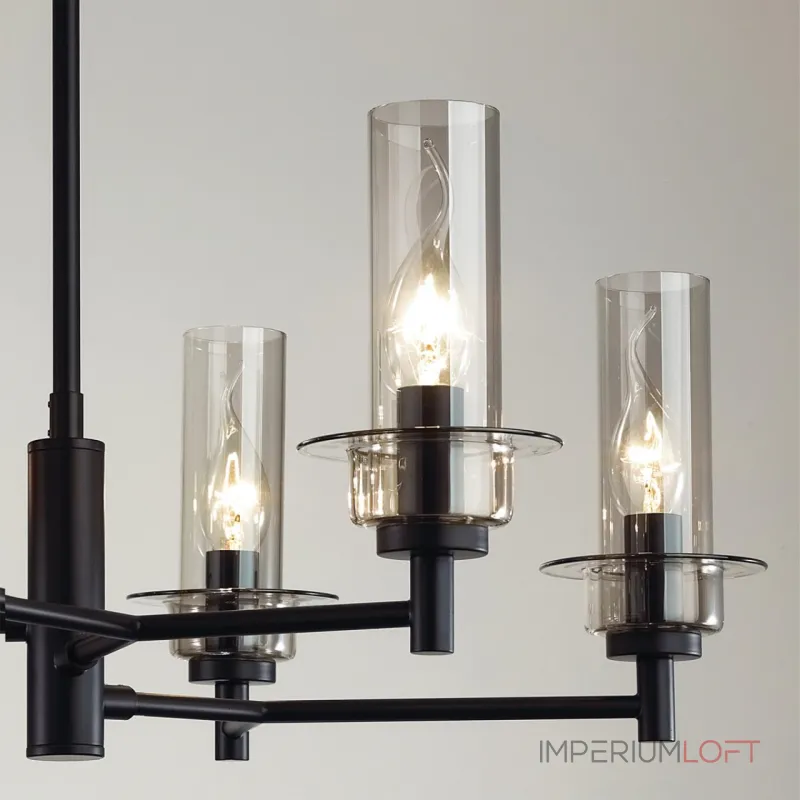 Люстра на штанге Lumion Classi 6555/6C