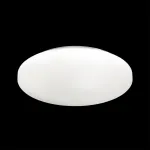 Потолочный светильник Sonex Simple 3017/DL  Потолочный светильник Sonex Simple 3017/DL