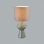 Настольная лампа Lumion Moderni 5445/1