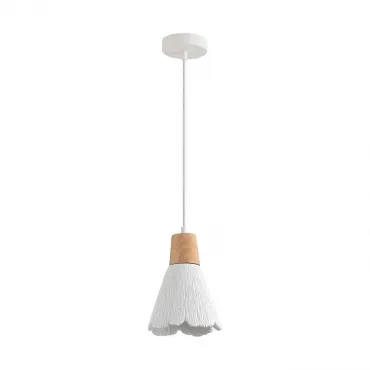 Подвесной светильник Lumion Suspentioni 8352/1B