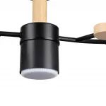 Потолочный светильник Lumion Comfi 6545/105CL от ImperiumLoft
