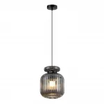 Подвесной светильник Odeon Light PENDANT ODL24 309 5042/1B E27 1*60W JUGI Чёрный