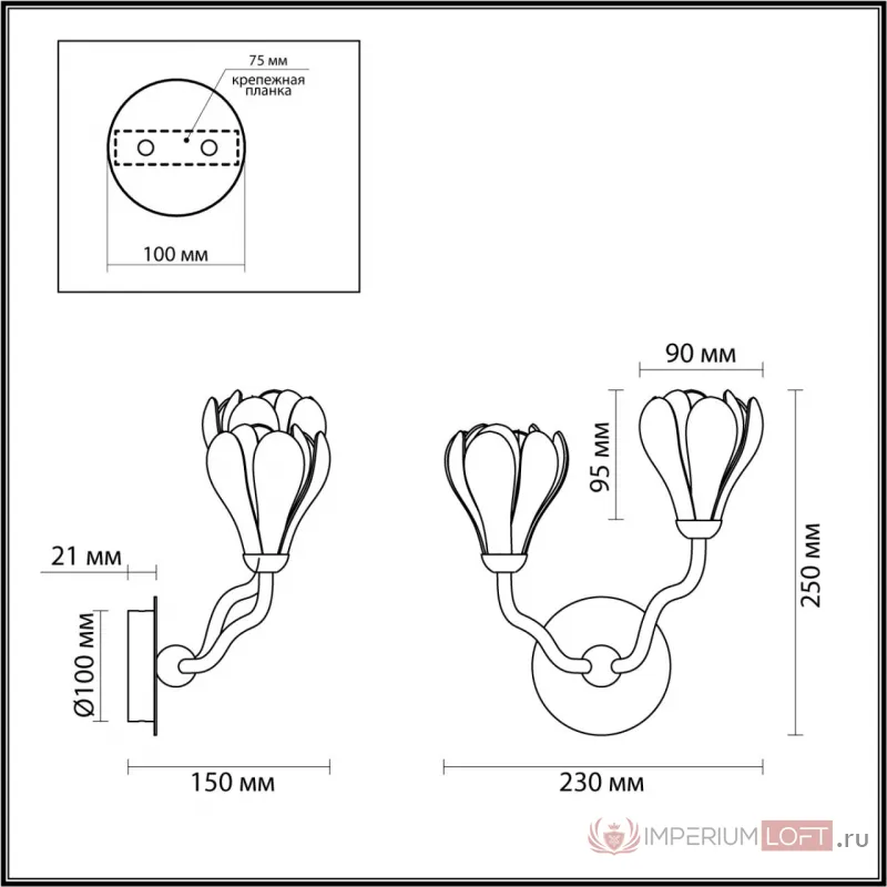 Бра Odeon Light Modern 7016/20WL от ImperiumLoft