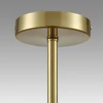 Потолочная люстра Lumion Classi 8046/6C