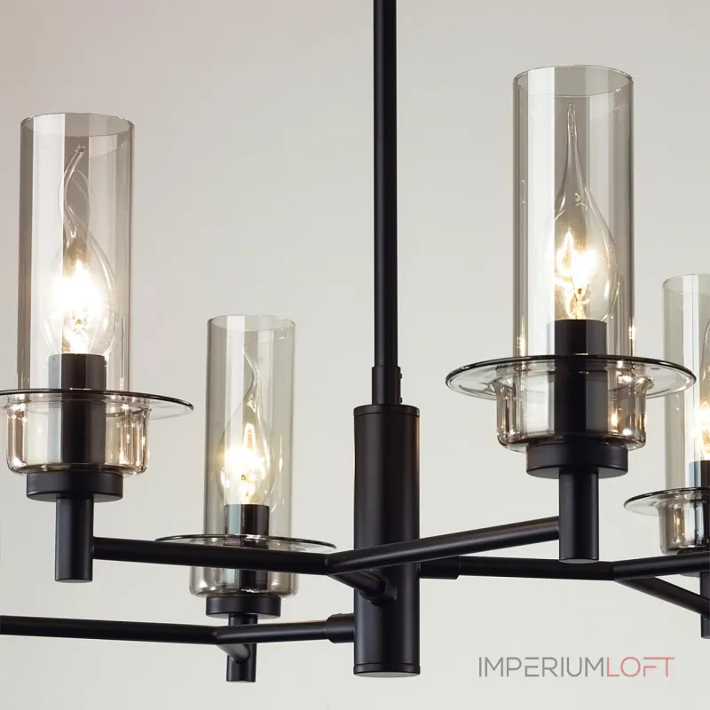Люстра на штанге Lumion Classi 6555/6C