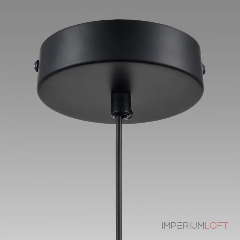 Подвесной светильник Lumion Comfi 8101/1A