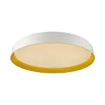 Настенно-потолочный Сонекс Color 7711/ELN