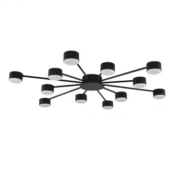 Потолочная люстра Lumion Comfi 8344/12C