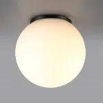 Потолочный светильник Odeon light Nature 7124/1C