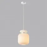 Подвесной светильник Odeon Light PENDANT ODL24 309 5042/1C E27 1*60W JUGI Белый
