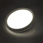 Настенно-потолочный светильник Сонекс Pale 7627/CL