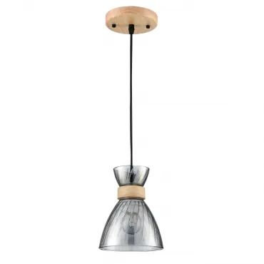 Подвесной светильник Lumion Suspentioni 8050/1A