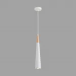 Подвесной светильник Lumion Suspentioni 8352/1C