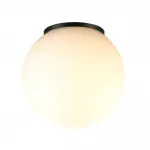 Потолочный светильник Odeon light Nature 7124/1C