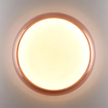 Настенно-потолочный светильник Сонекс Color 7778/DLN от ImperiumLoft