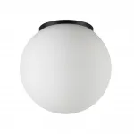 Потолочный светильник Odeon light Nature 7124/1C