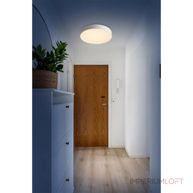 Настенно-потолочный светильник Сонекс Basica 7779/ELN от ImperiumLoft Настенно-потолочный светильник Сонекс Basica 7779/ELN от ImperiumLoft