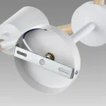 Люстра потолочная Lumion Moderni 5096/24L от ImperiumLoft