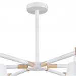 Люстра потолочная Lumion Moderni 5096/24L от ImperiumLoft