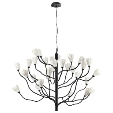 Люстра Odeon Light Modern 5090/30