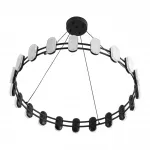 Подвесная люстра Lumion Ledio 8342/40L