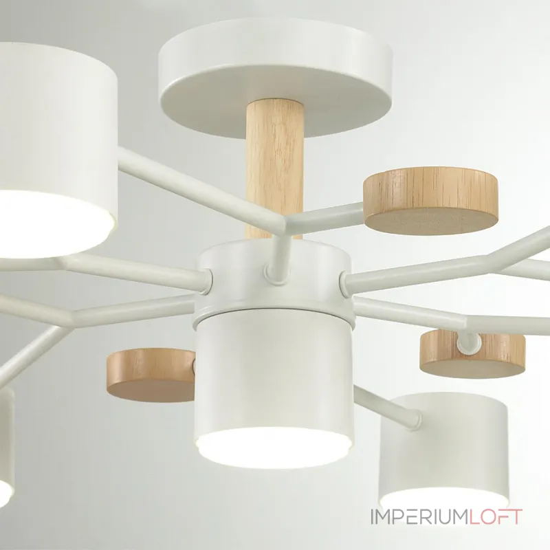 Потолочный светильник Lumion Comfi 6545/61CL Потолочный светильник Lumion Comfi 6545/61CL