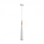 Подвесной светильник Lumion Suspentioni 8352/1C