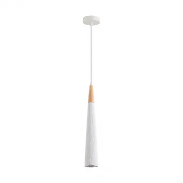 Подвесной светильник Lumion Suspentioni 8352/1C