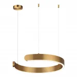 Подвесная люстра Lumion Ledio 6535/28L