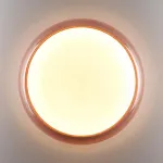Настенно-потолочный светильник Сонекс Color 7778/ELN от ImperiumLoft