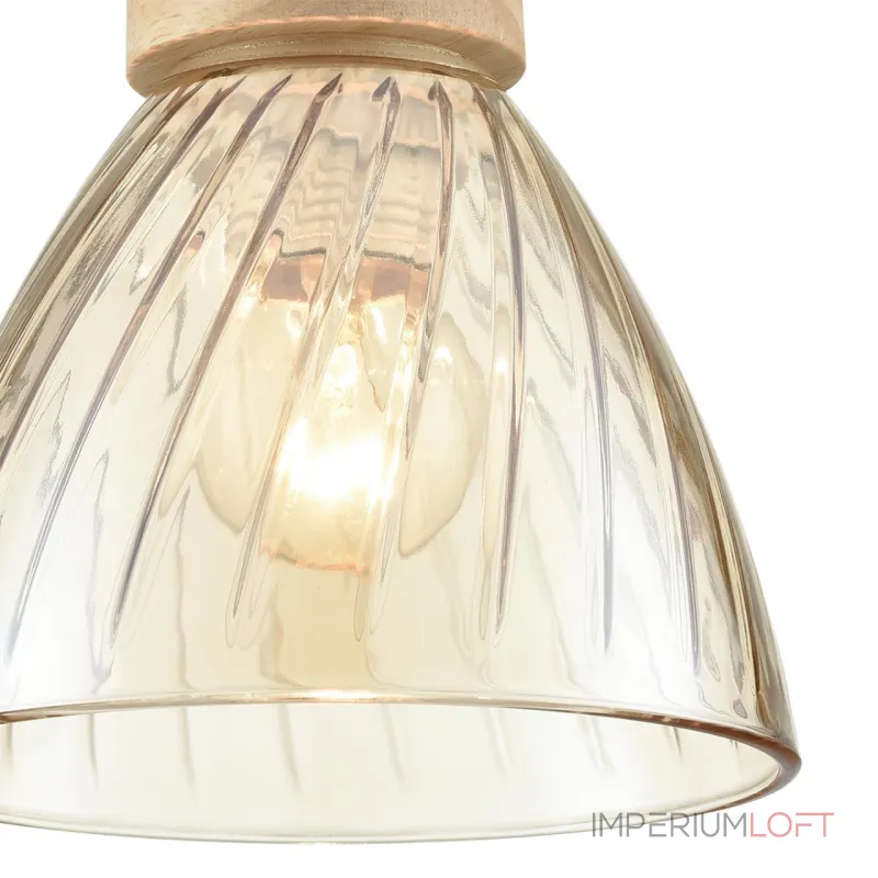 Подвесной светильник Lumion Suspentioni 8051/1A