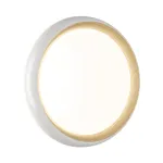 Настенно-потолочный светильник Сонекс Tofiq White 7650/DLN